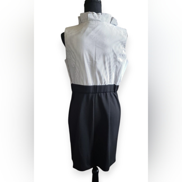 New York and Company Dress EUC - Picture 2 of 4